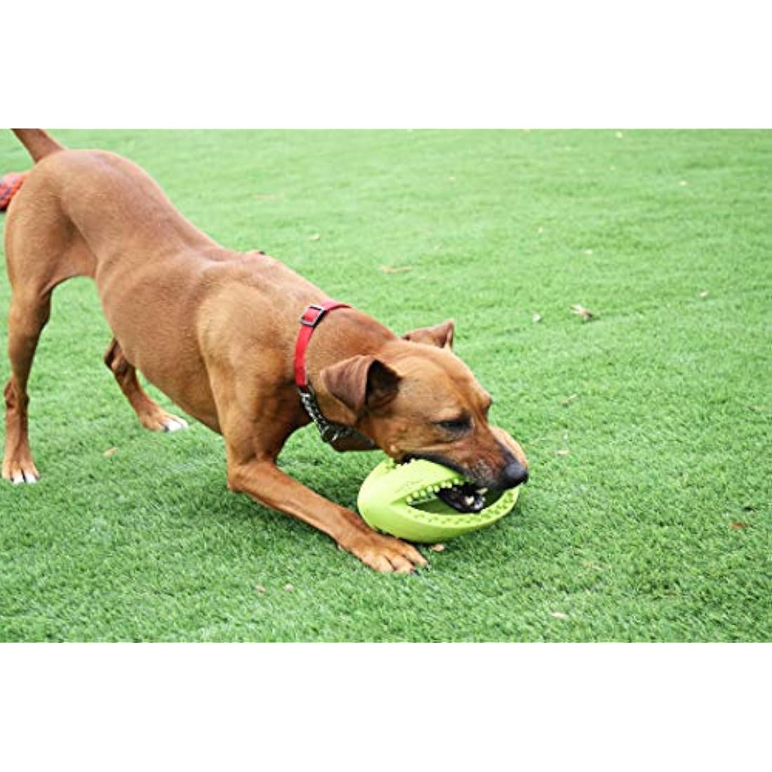 Grubber Rugby Ball Dog Toy – Durable Interactive Fetch Toy