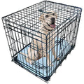 Ellie-Bo 24-inch Folding Dog Crate | 2-Door Metal Cage with Bed Mat