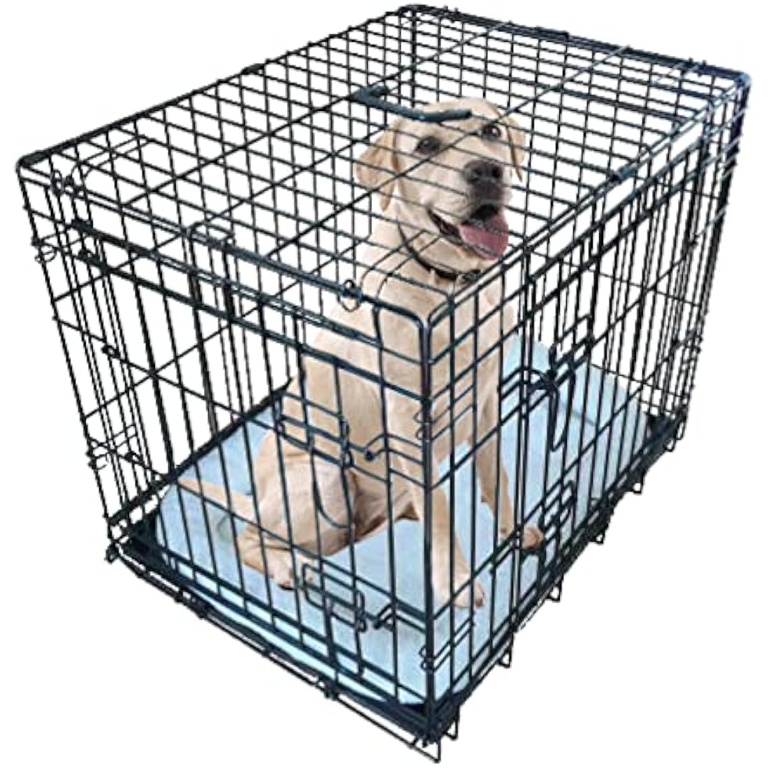 Ellie-Bo 24-inch Folding Dog Crate | 2-Door Metal Cage with Bed Mat