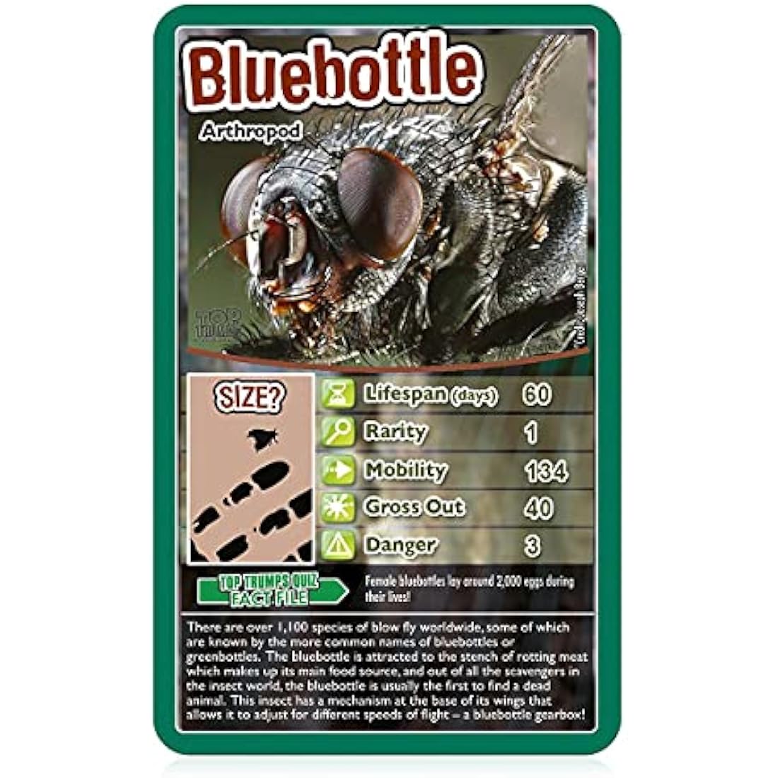 Top Trumps Bugs Card Game | Educational Nature Toy for Kids Ages 6+