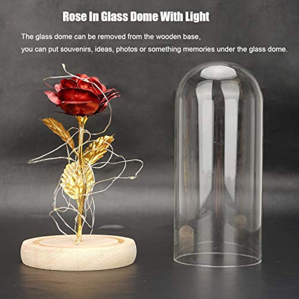 TINYOUTH 24K Gold Plated Red Rose in Glass Dome with LED Lights