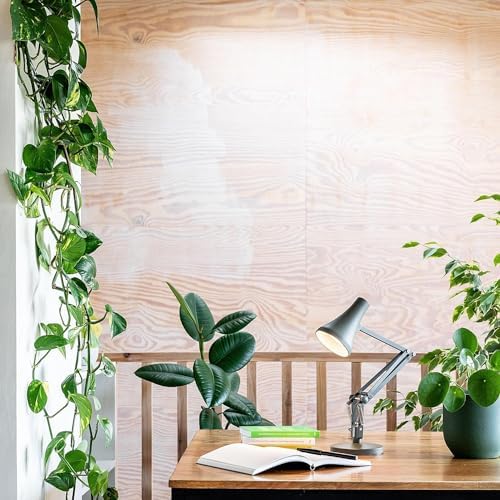 Anglepoise 90 Mini Mini Desk Lamp | Kelp Green LED Task Light
