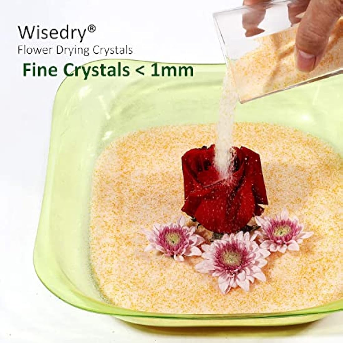Wisedry 10 LBS Silica Gel Flower Drying Crystals - Color Indicating