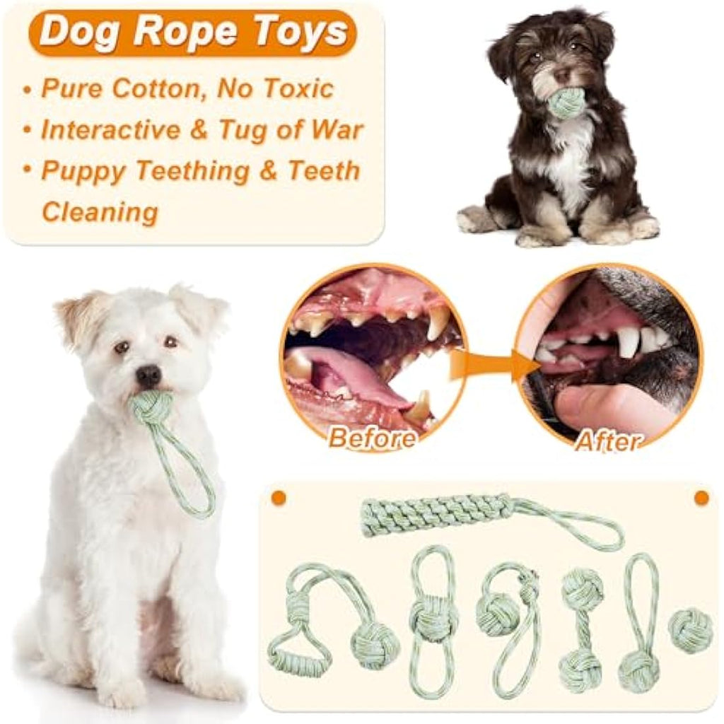 Jolof Store 24-Piece Puppy Toy Set with Storage Bin - Teething & Training