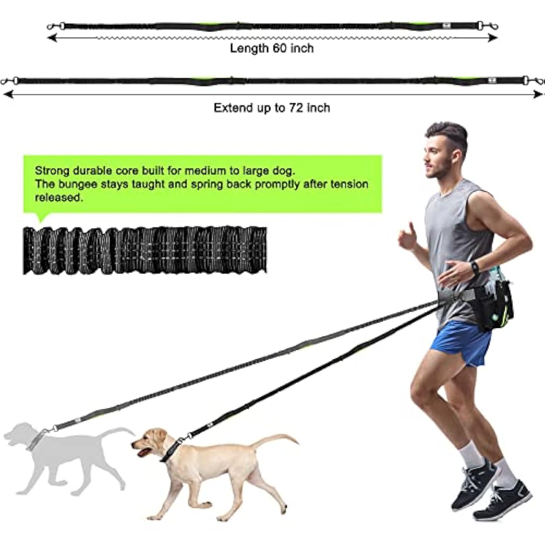 SHINE HAI Hands Free Dual Dog Leash – Reflective Running Belt with Bungees