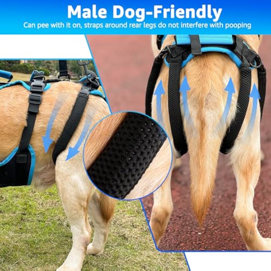 Lafoty Dog Lift Harness – Male Dog Mobility Support Sling for Large Dogs