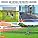 VEVOR 55FT Baseball Batting Cage Net – Heavy Duty PE Hitting Training Net