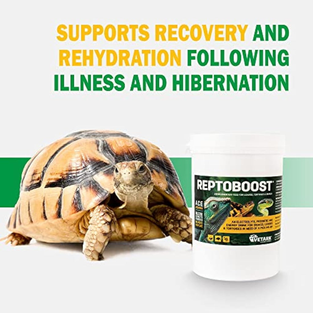 Vetark Reptoboost Probiotic & Electrolyte Supplement for Reptiles - 300g