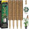 Jolof Store 56 Inch Moss Pole for Monstera | 4 Pcs Coir Totem Pole Set