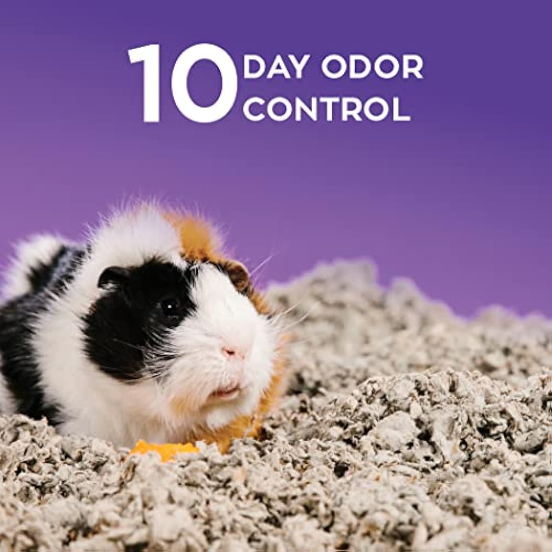 Carefresh Natural Paper Small Pet Bedding | Odor Control & Dust-Free, 60L