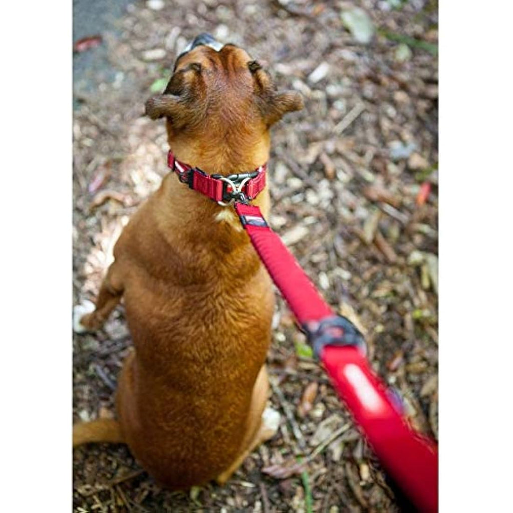 EzyDog Zero Shock LITE Bungee Dog Lead for Small Dogs - 1.2m Denim