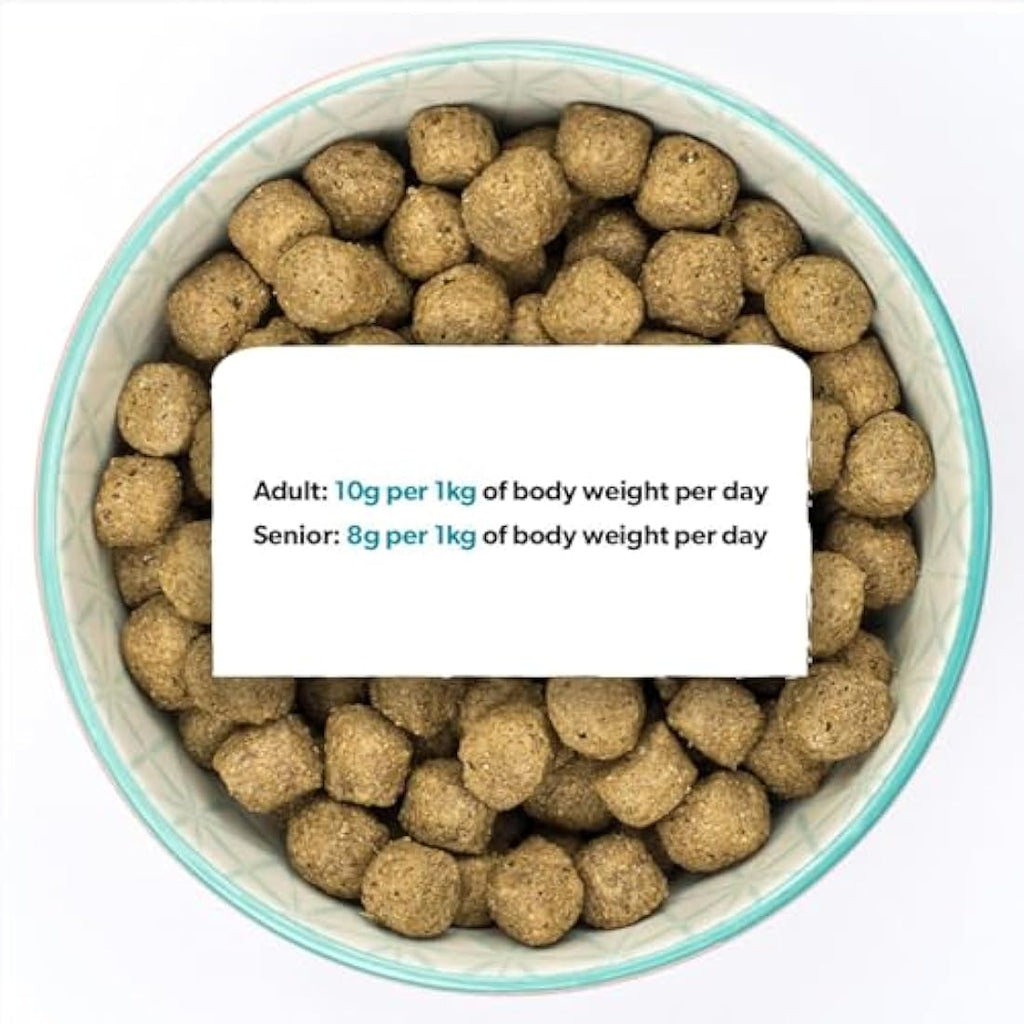Burns Pet Nutrition Hypoallergenic Fish & Brown Rice Dry Dog Food - 12kg
