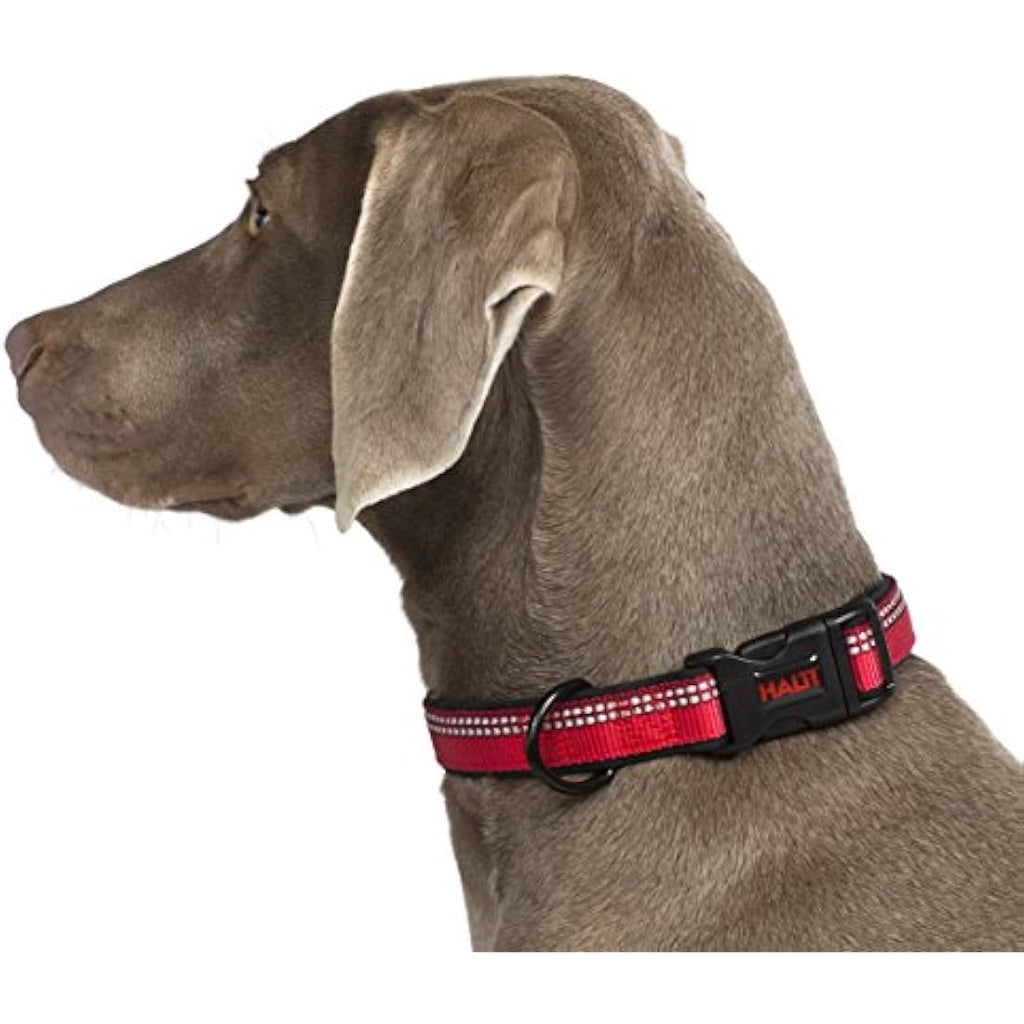 HALTI Neoprene-Padded Reflective Nylon Dog Collar | Purple, Medium