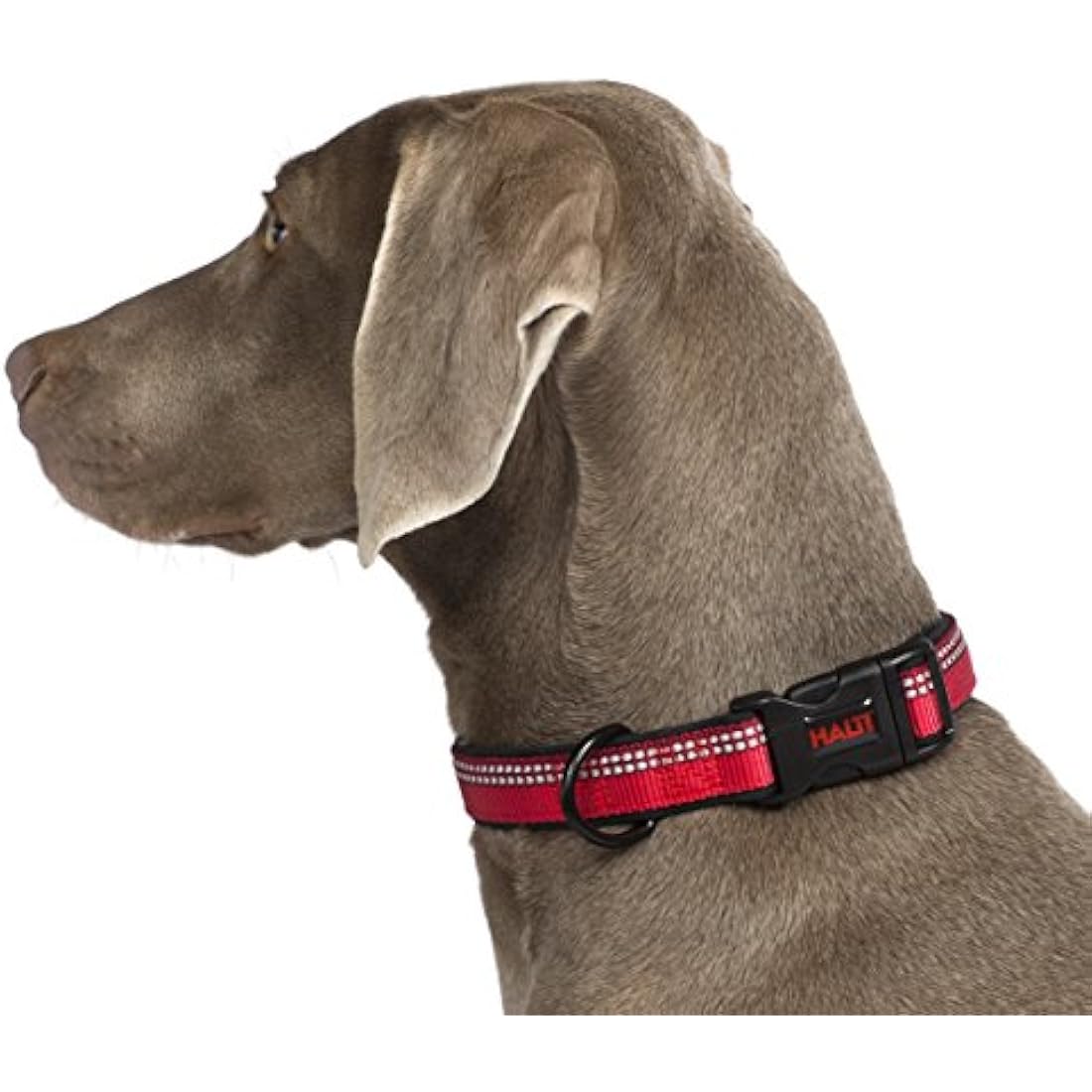 HALTI Neoprene-Padded Reflective Nylon Dog Collar | Purple, Medium