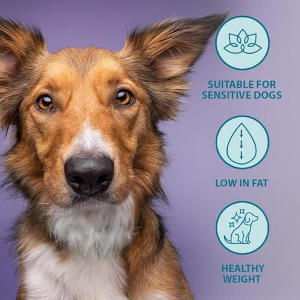 Burns Weight Control Dog Food – Hypoallergenic Chicken & Oats – 12kg