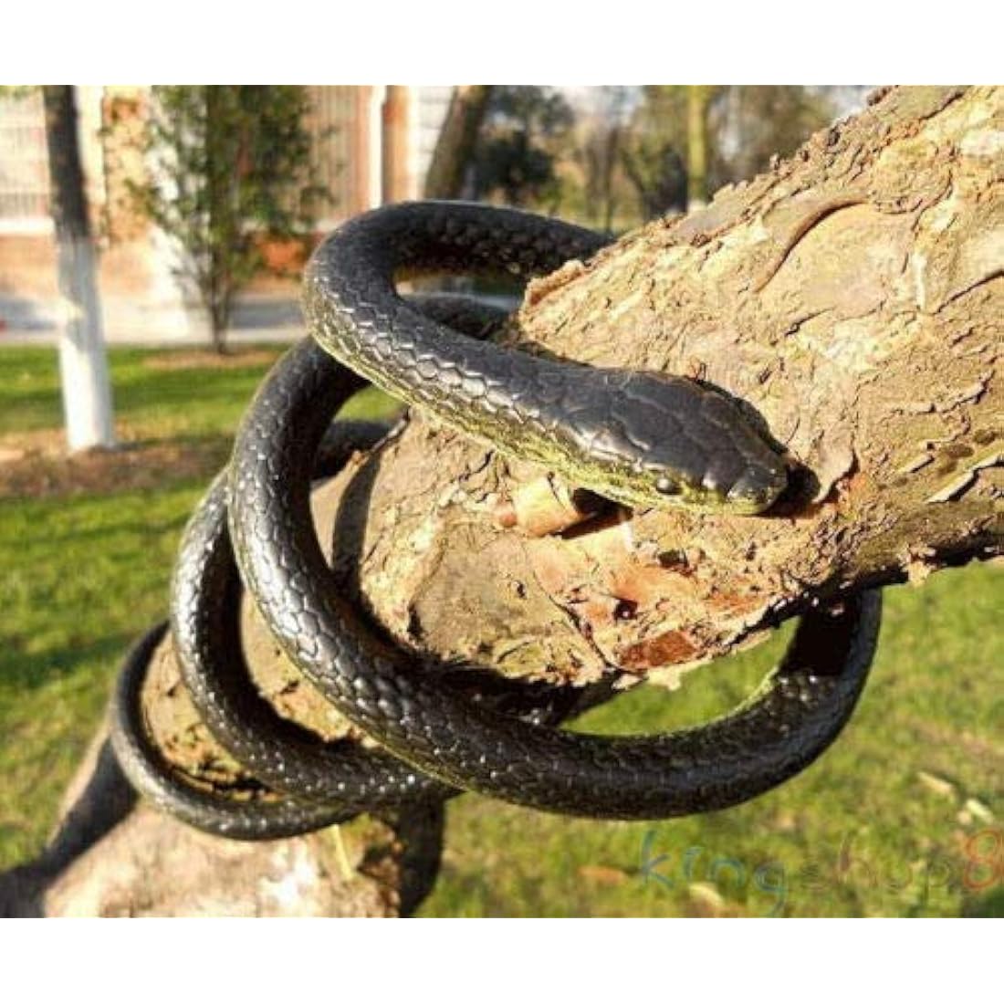 130cm Realistic Rubber Snake – Large Lifelike Garden Prank Toy
