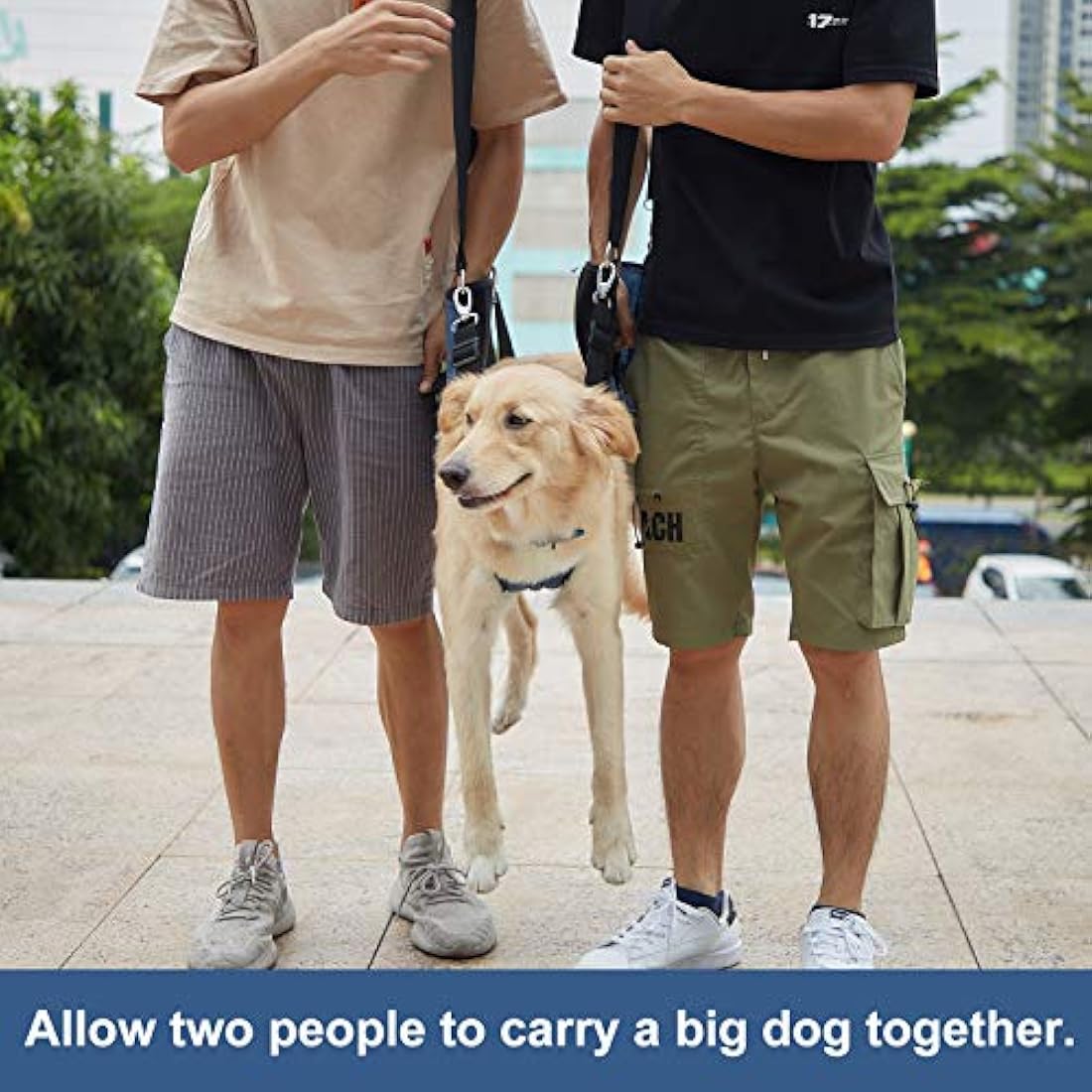 COODEO Dog Lift Harness | Full Body Support Sling for Senior Dogs - Blue