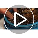 Grow Buddha Bonsai Soil - Premium Potting Mix for Drainage & Aeration