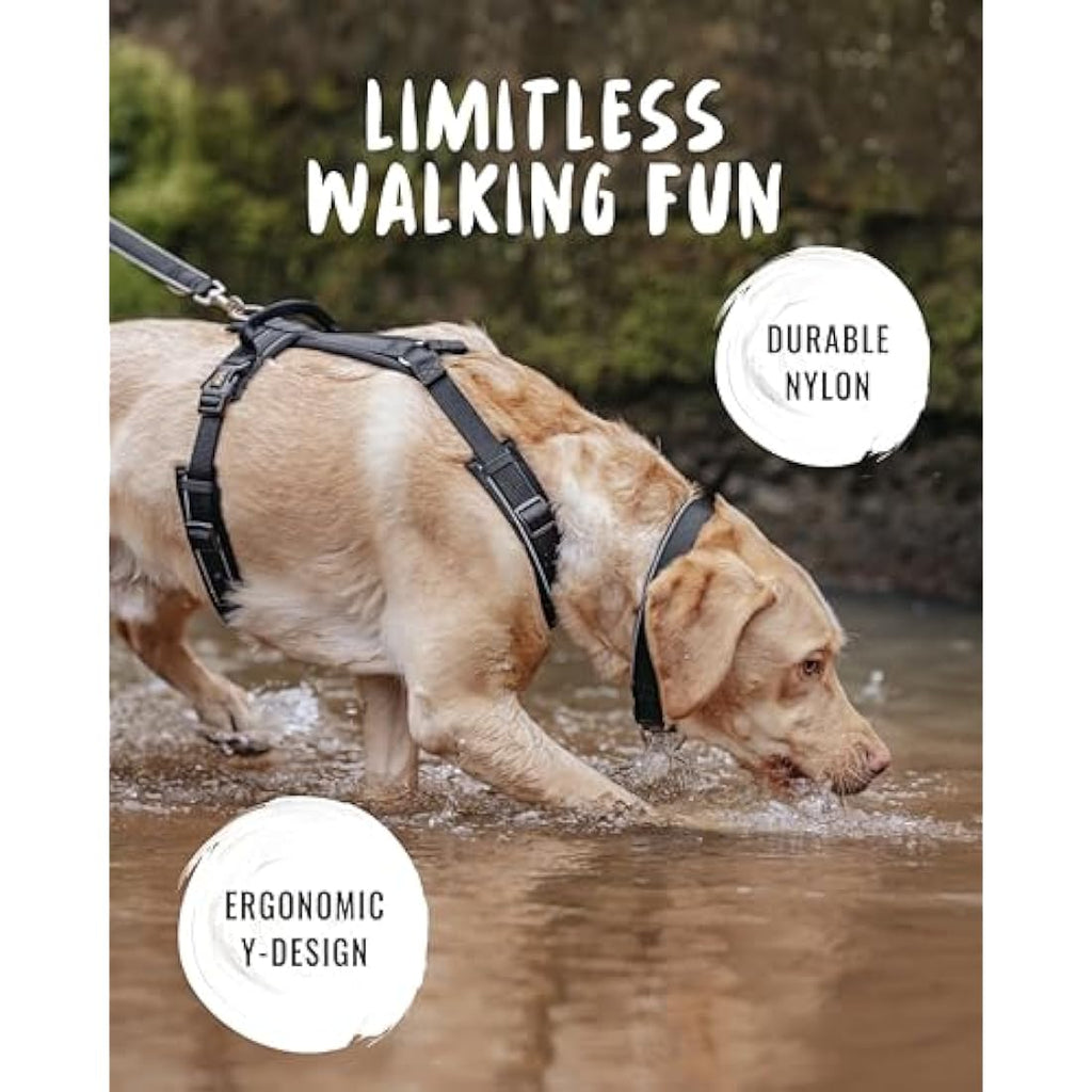 Rudelkönig Paola No Pull Dog Harness – Reflective Padded Chest Harness