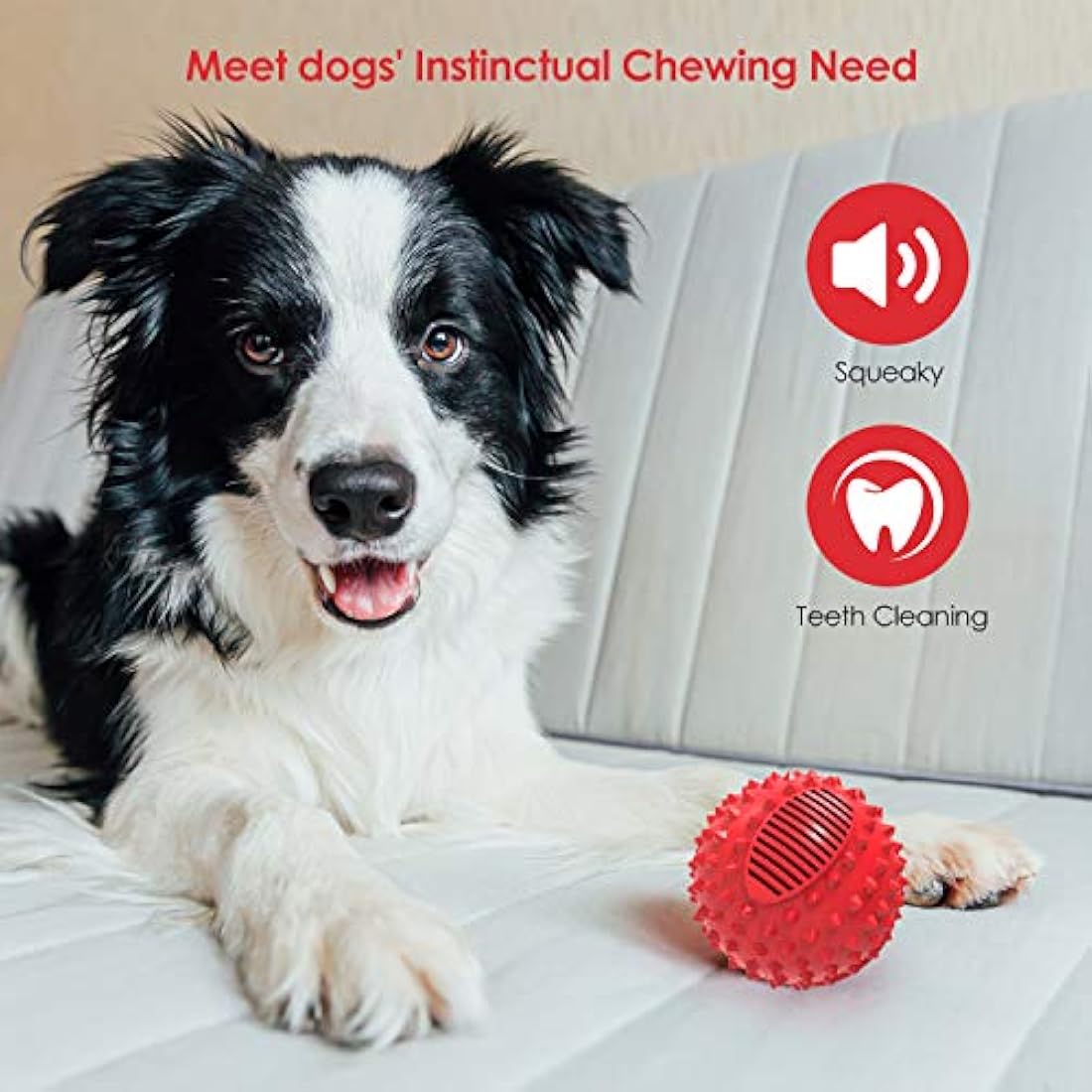 Squeaky Dog Ball – Durable Spiky Toy for Large Breeds