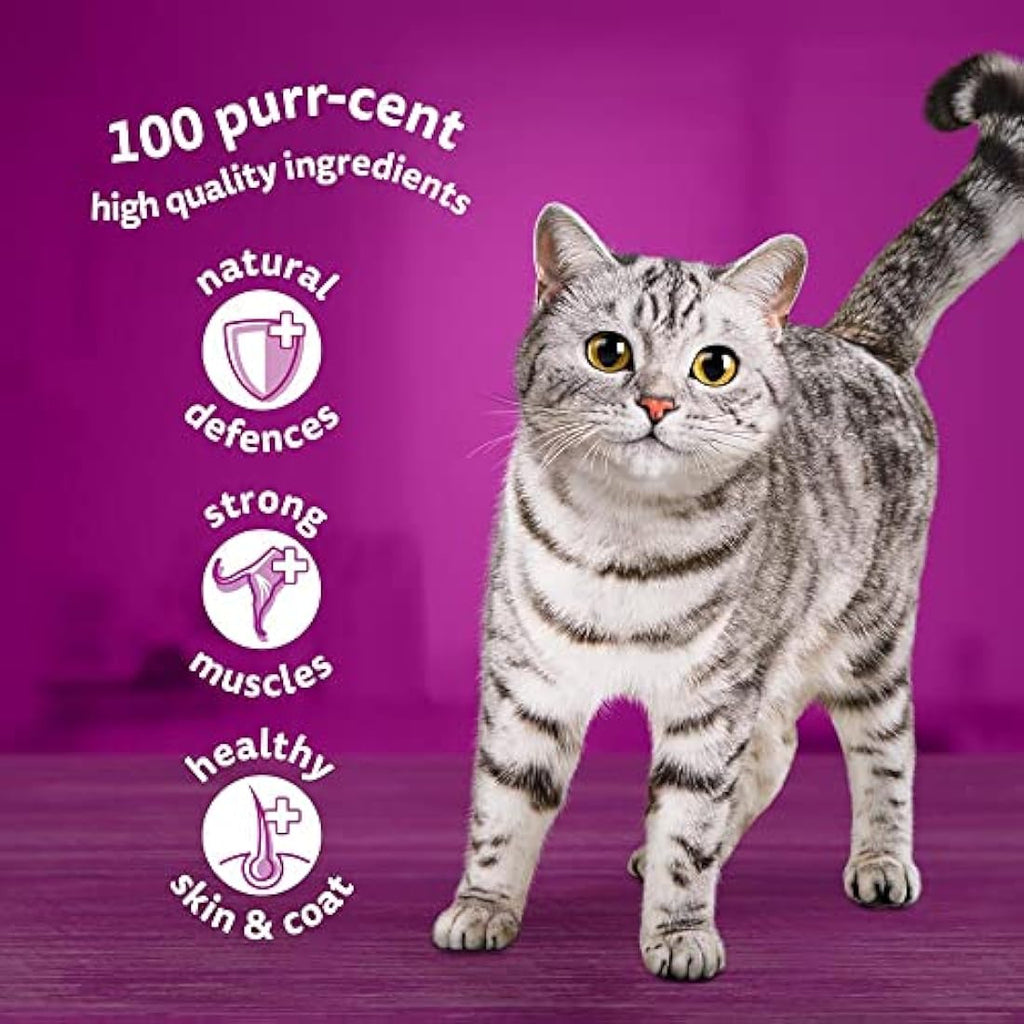 Whiskas 7+ Senior Wet Cat Food - Mixed Selection in Jelly - 84 x 85g Bulk