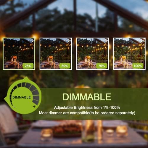 Kawaya 150ft Outdoor Festoon Lights | Waterproof Shatterproof LED String
