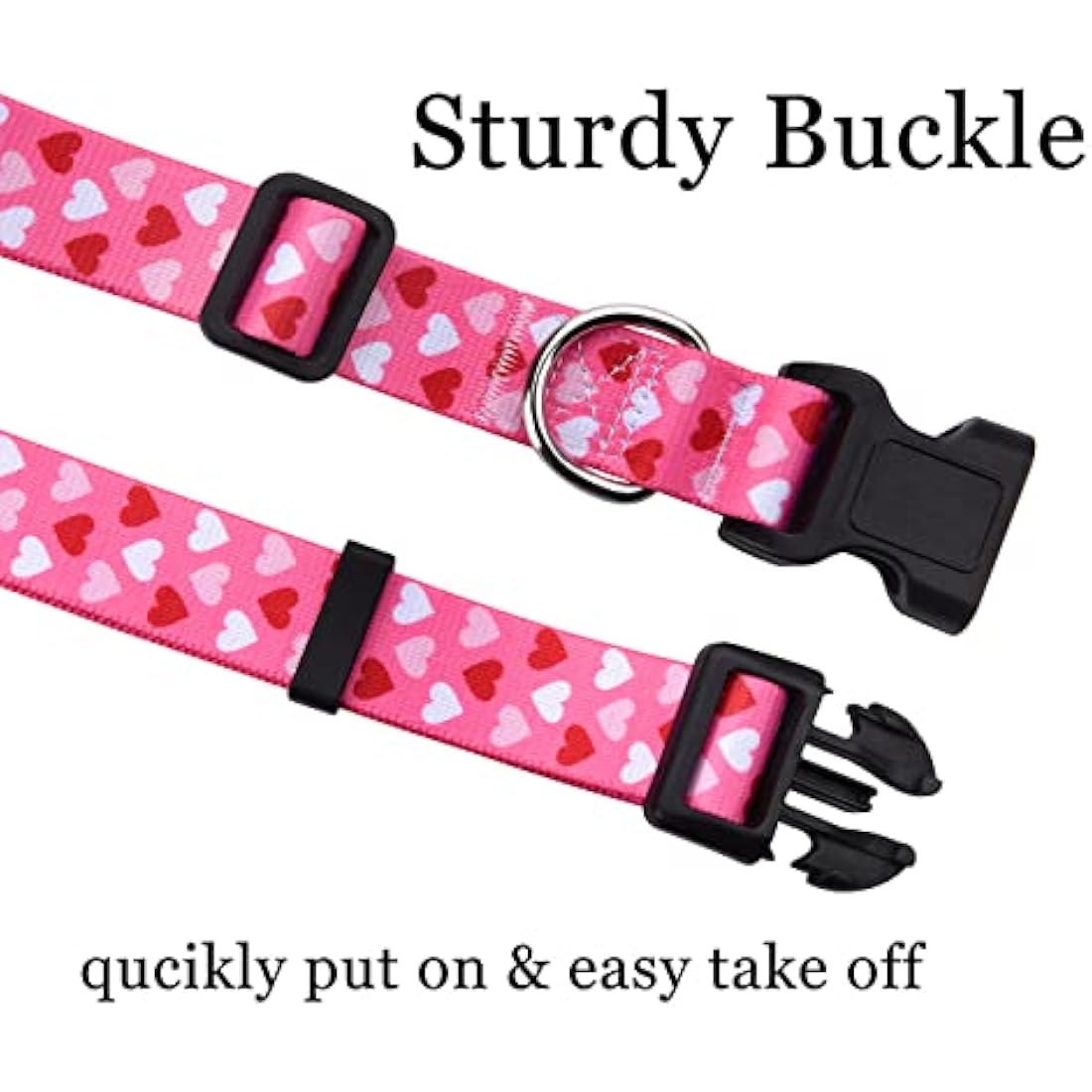 Valentine's Day Dog Collar and Leash Set - Pink Heart - Medium