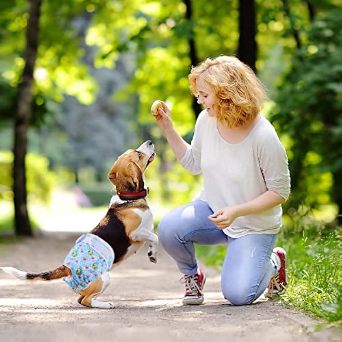 Medo Reusable Dog Diapers | 3-Pack Washable Female Puppy Wraps - XL