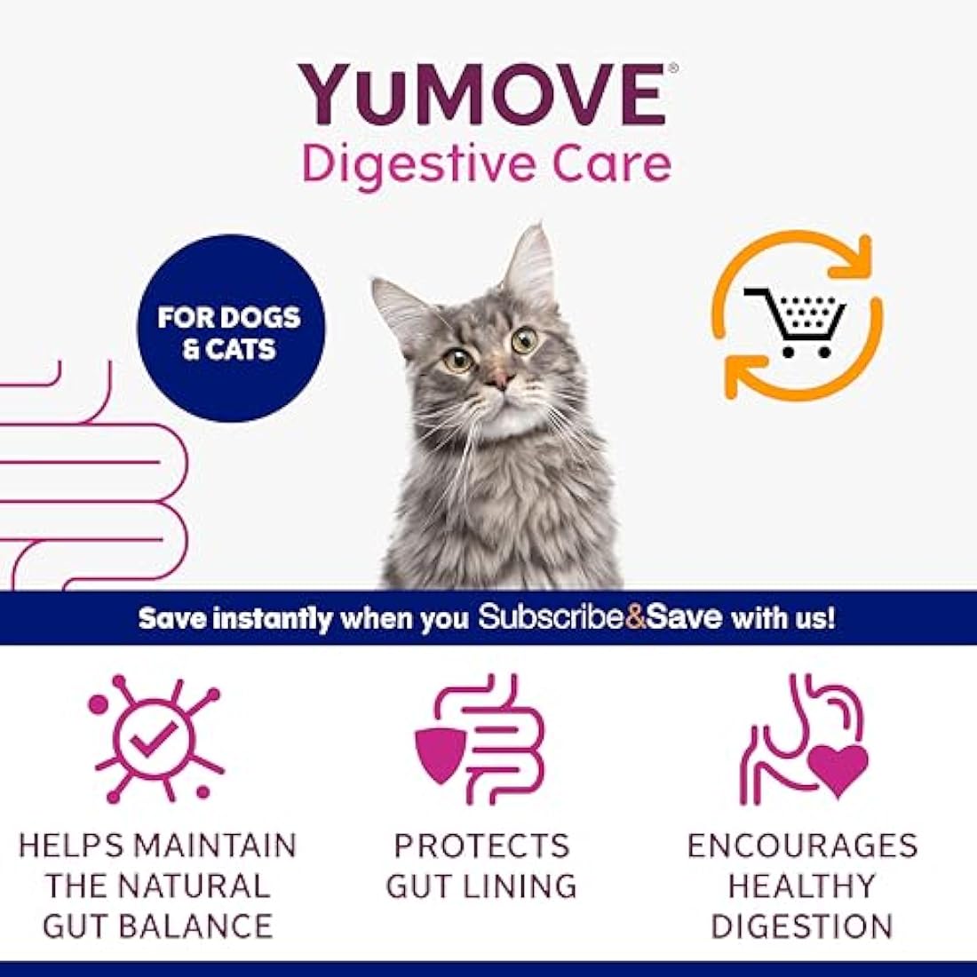 YuMOVE Digestive Care Plus | Probiotic Supplement for Dogs & Cats