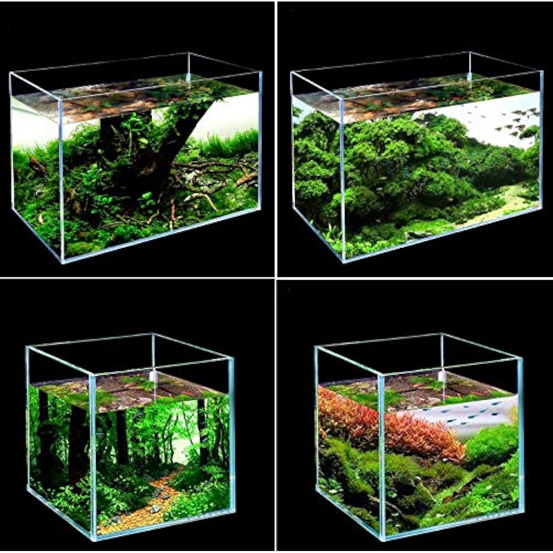 Rimless Low Iron Glass Nano Aquarium Tank | 7L Desktop Cube