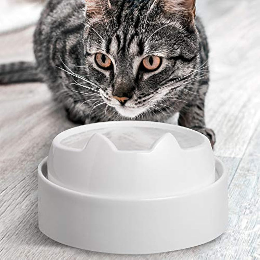 CatGuru Elevated Cat Feeder – Non-Slip Raised Pet Feeding Station