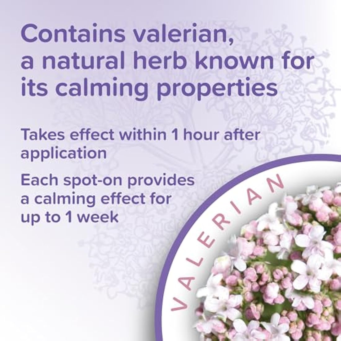 Beaphar Calming Spot-On for Cats – Natural Valerian Stress Relief – 3 Pipettes