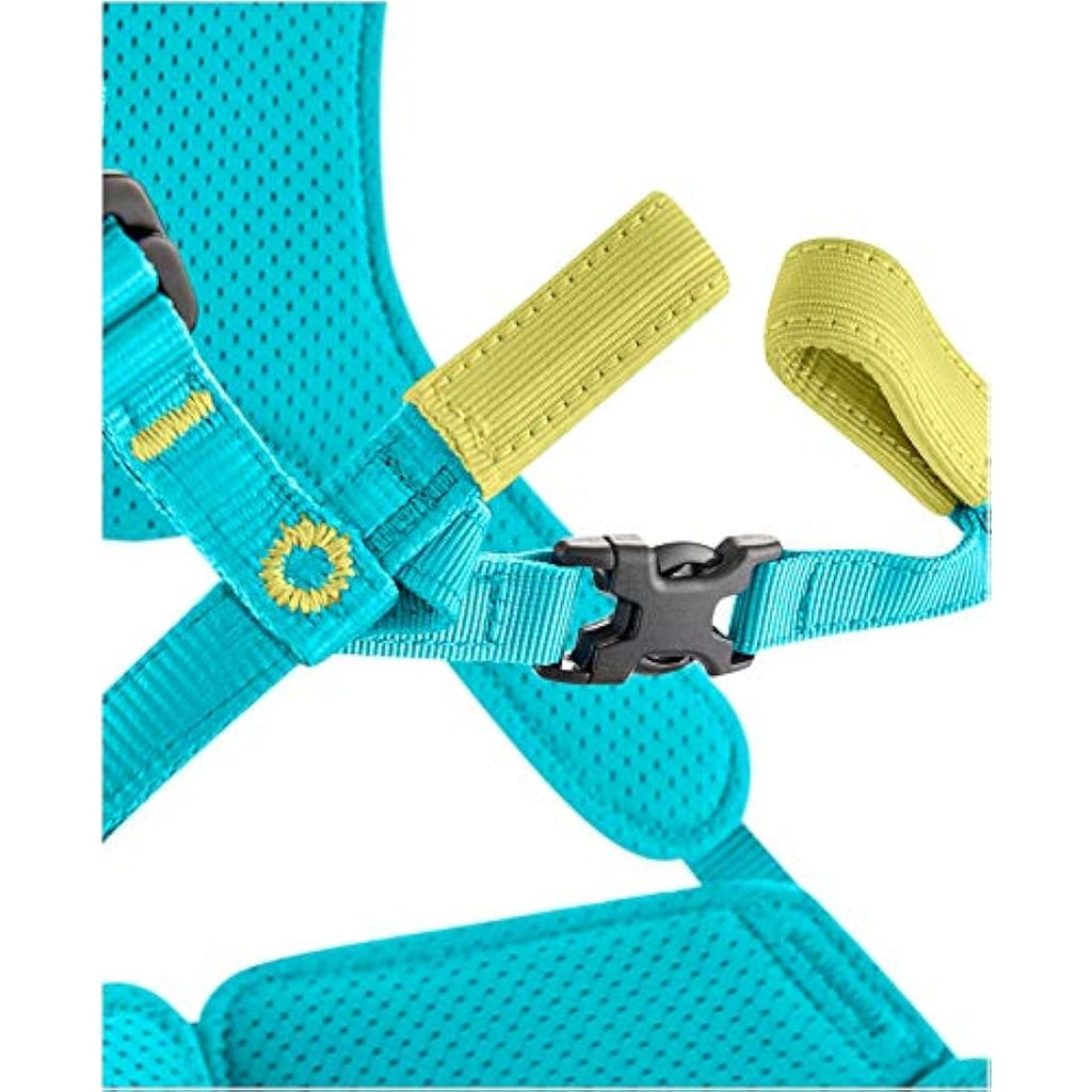 EDELRID Fraggle Kinder Klettergurt – Verstellbarer Komplettgurt für Kids