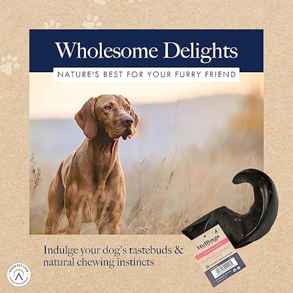 Hollings Buffalo Horn Natural Grain Free Dog Chew Treats (12 Pack)