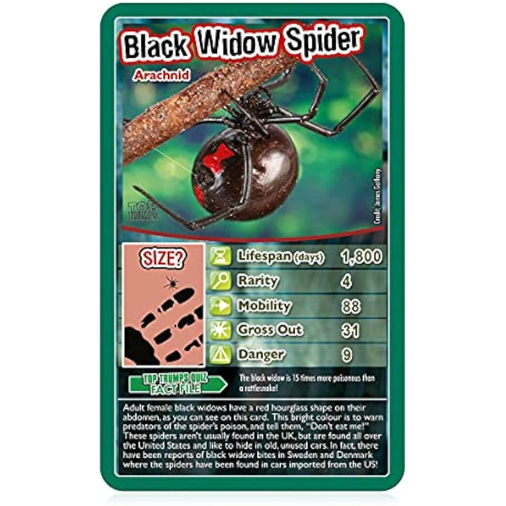 Top Trumps Bugs Card Game | Educational Nature Toy for Kids Ages 6+