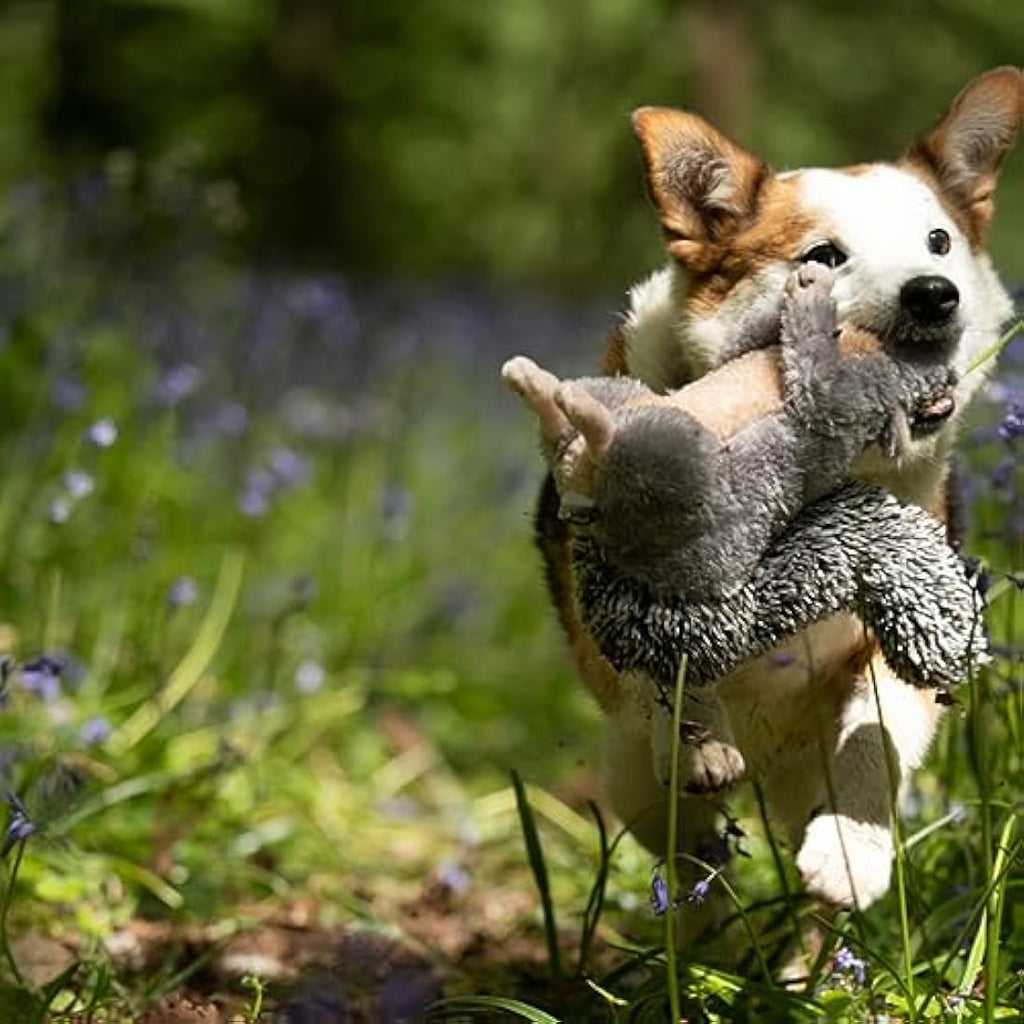Petface Cyril Squirrel Plush Dog Toy – Squeaky Interactive Pet Toy