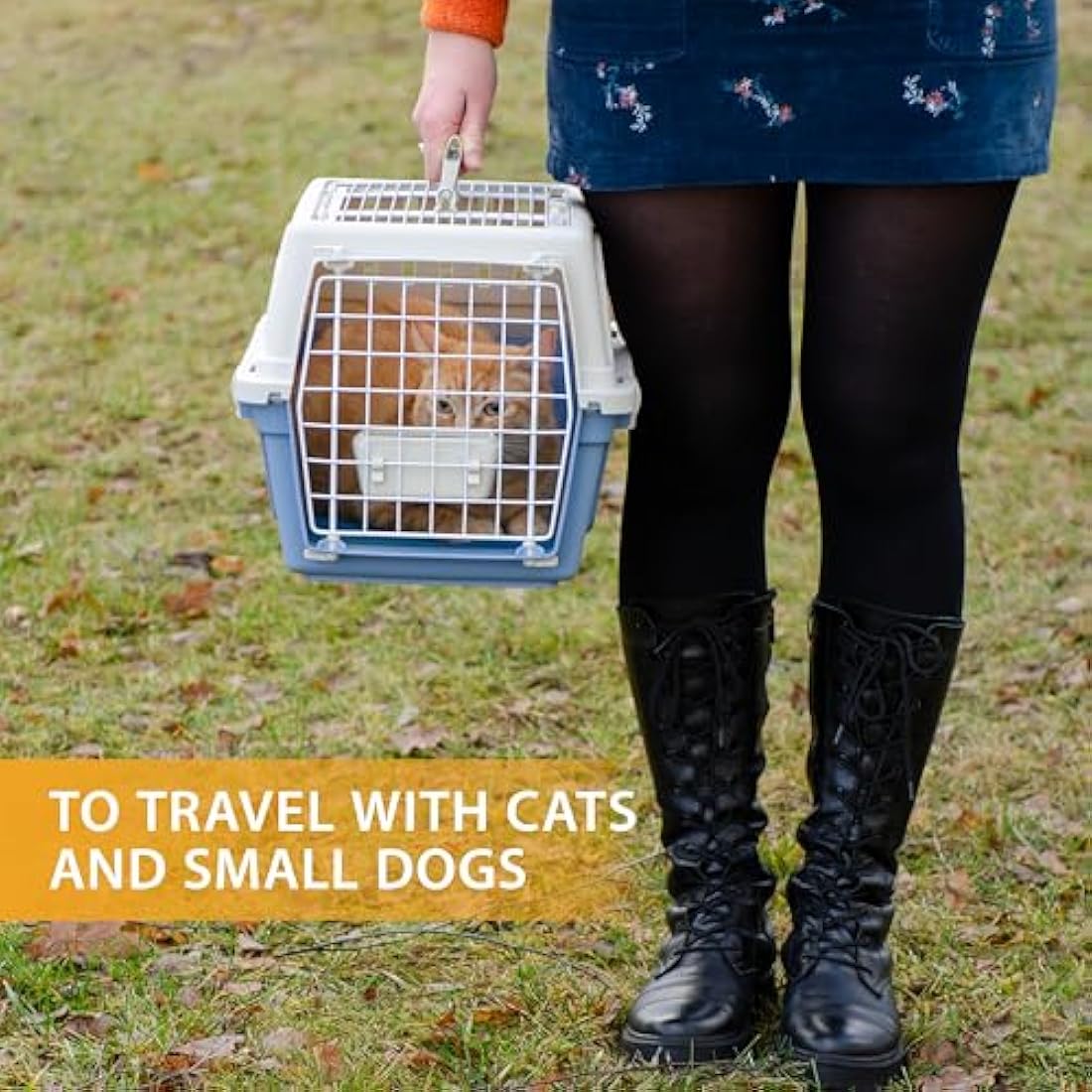 Ferplast Pet Carrier for Cats and Small Dogs – Durable 60cm Travel Box