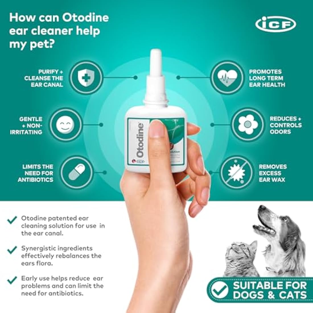 ICF Otodine Ear Cleaner for Dogs & Cats - 100ml Pet Hygiene Solution