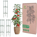 LeafImpact 4-Pack Adjustable Metal Tomato Cage - Green Plant Support
