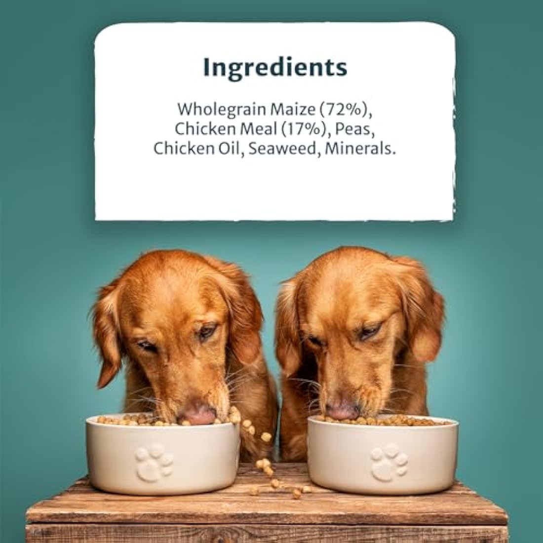 Burns Pet Nutrition Grain-Free Turkey & Potato Dog Food - 12kg