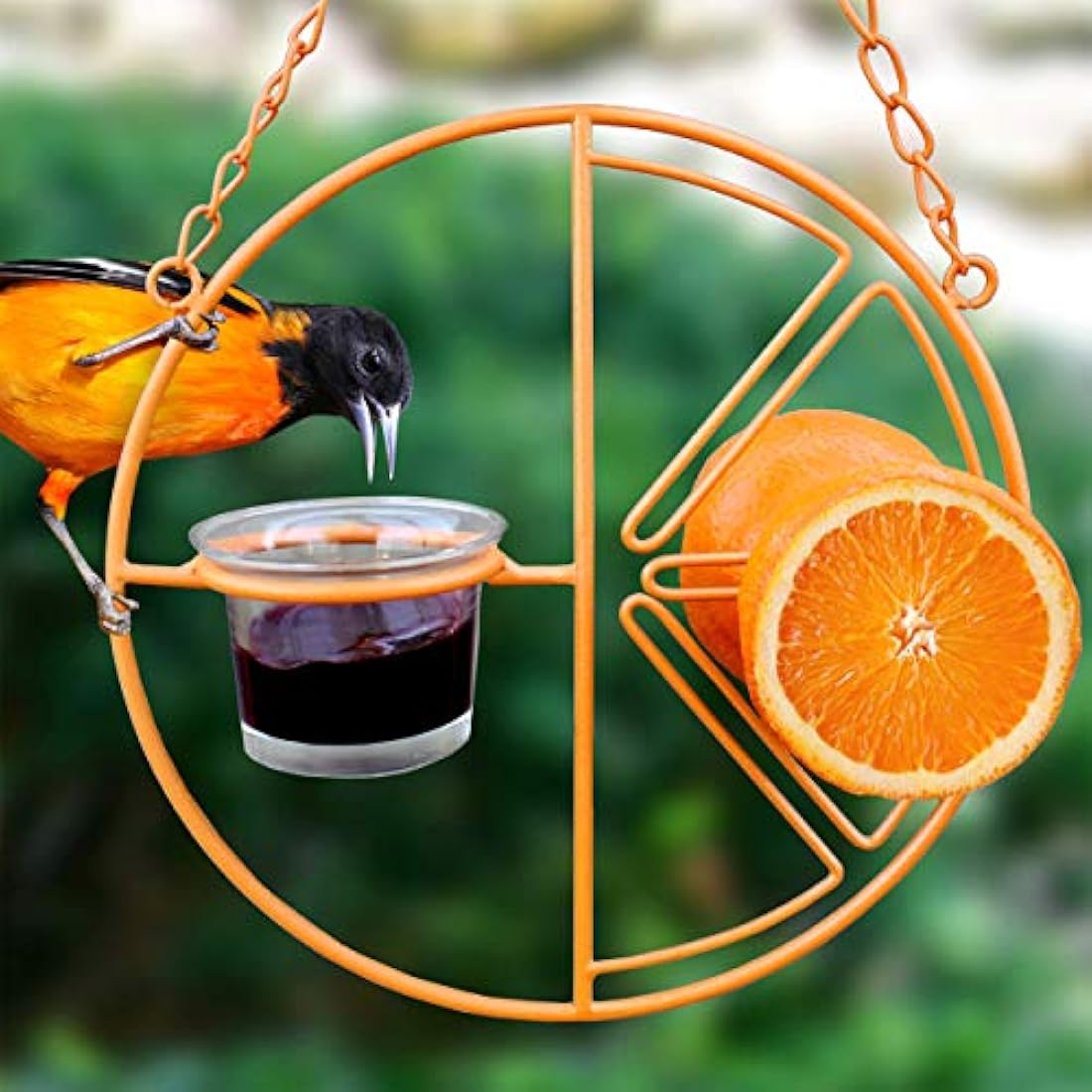 Heath Outdoor Products Clementine Oriole Feeder – Orange Steel