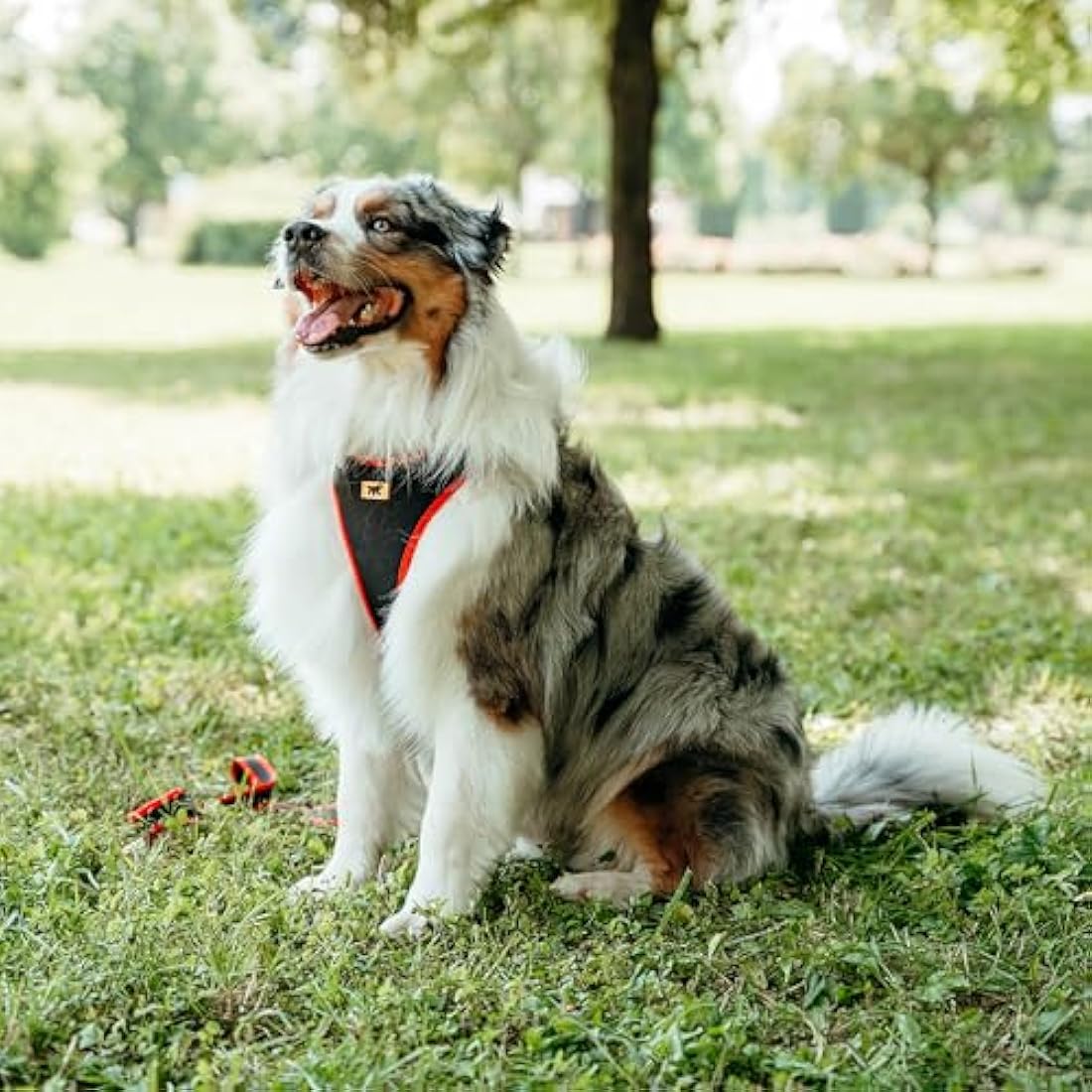Ferplast Ergocomfort Large Dog Harness – Padded & Adjustable, Red
