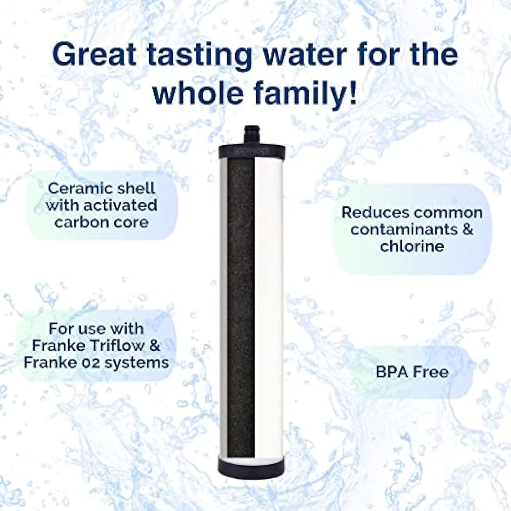 Doulton Ultracarb M15 Ceramic Water Filter 2-Pack for Franke Triflow