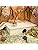 Niteangel 6-Room Multi-Chamber Hamster House – Birch Wood Maze Hideout