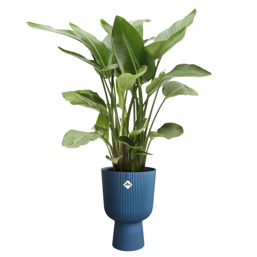 Elho Vibes Fold Coupe 30 Indoor Plant Pot – Recycled Plastic – Deep Blue