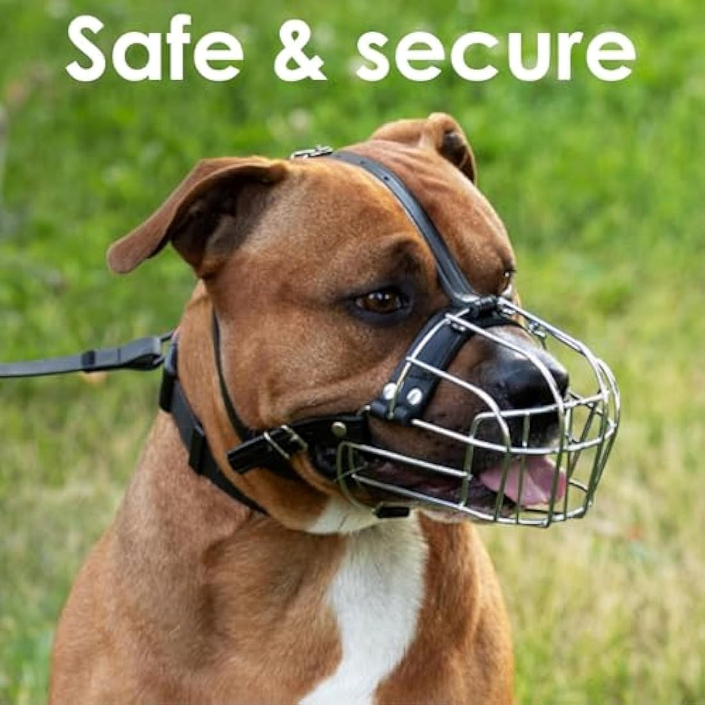 BronzeDog Metal Basket Dog Muzzle for Pitbulls – Adjustable Leather, Pink