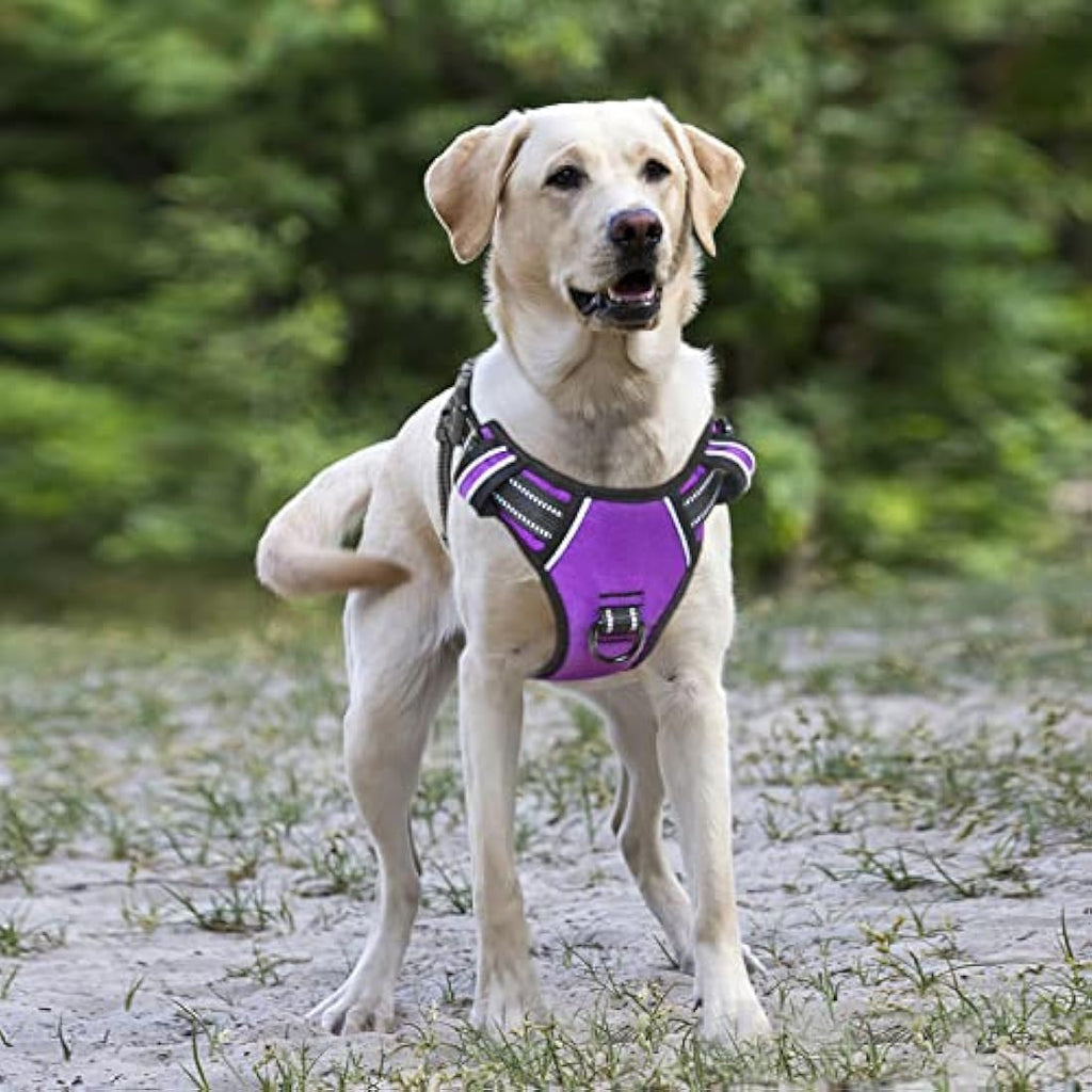 HEELE No Pull Dog Harness | Reflective Padded Training Vest - Purple, XL