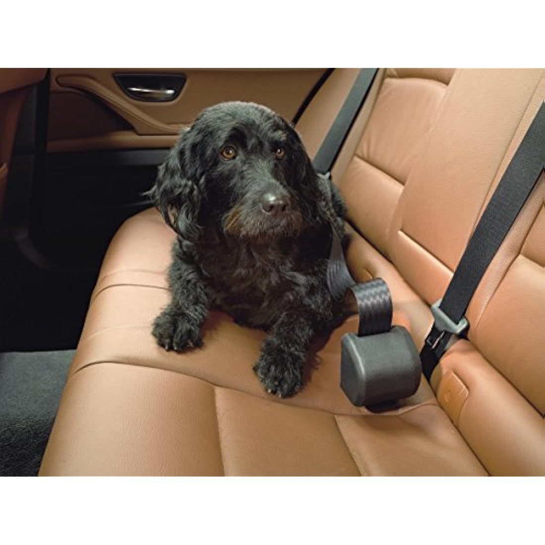 Kleinmetall Click'N Roll Automatic Dog Safety Belt - 500kg Load