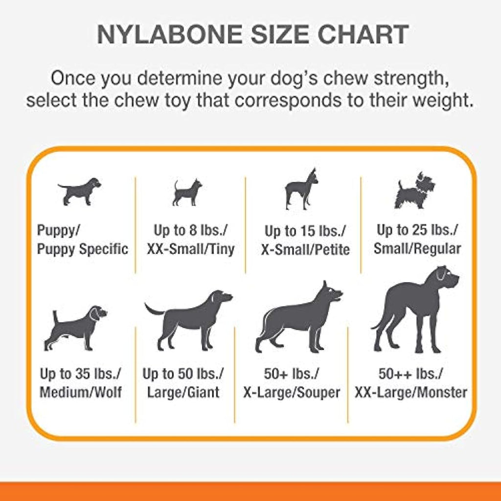 Nylabone Durable Dog Chew Toy – Beef & Cheese Nylon Bone for Medium Dogs