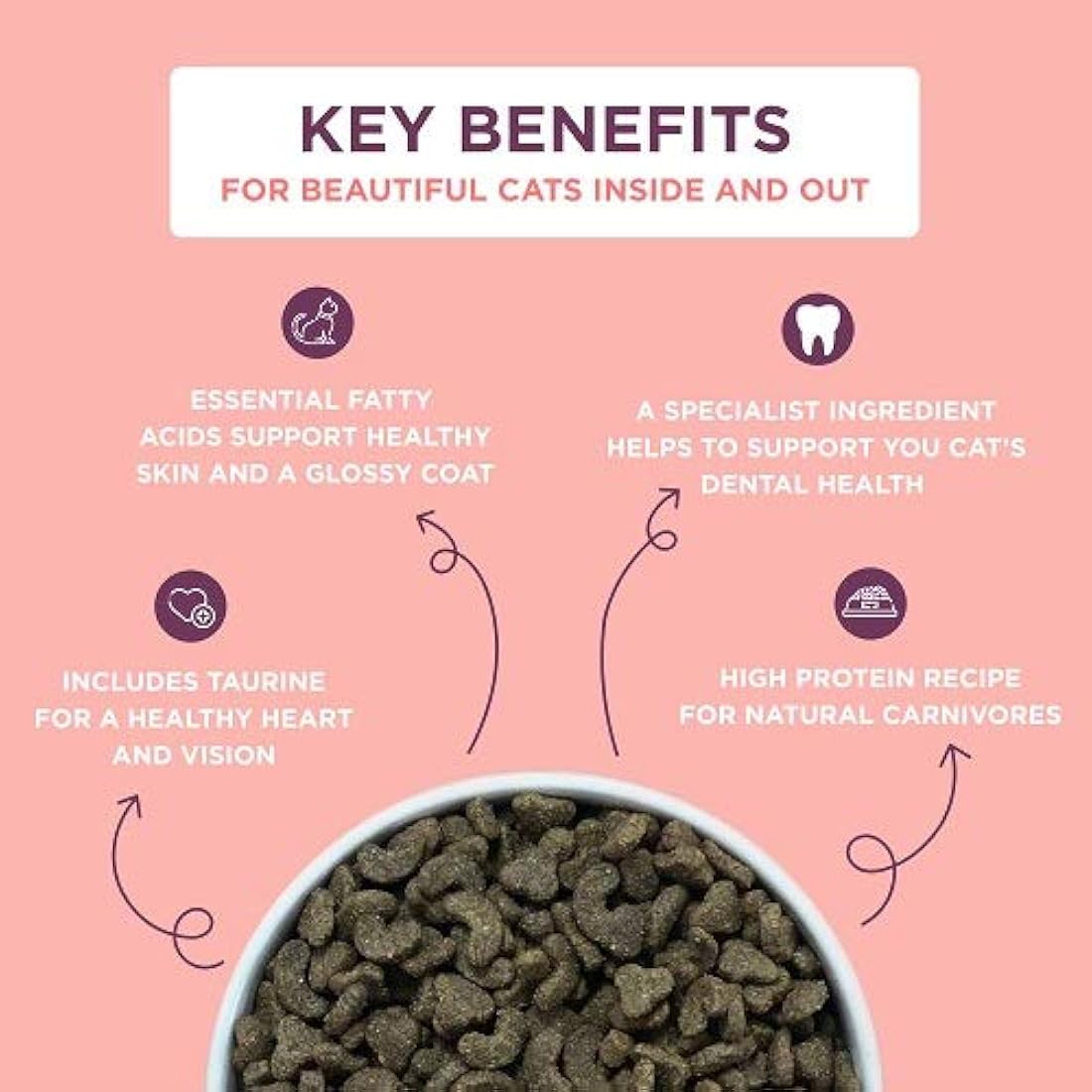 Burgess Salmon Dry Cat Food for Adult Cats – Digestive & Heart Health 1.5kg